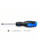 75mm T6 Torx Screwdriver for M2 Screws - Magnetic