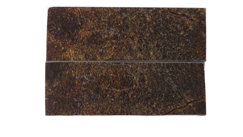 Manche d'os de dinosaure stabilisé by Raffir