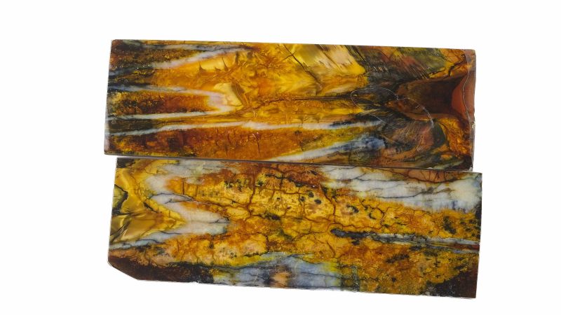 Manche molaire de mammouth stabilisé jaune Raffir