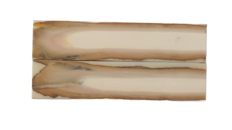 26080243