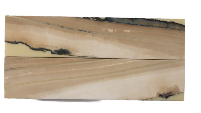 26080258
