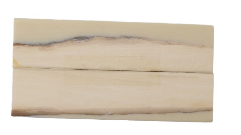 26080261