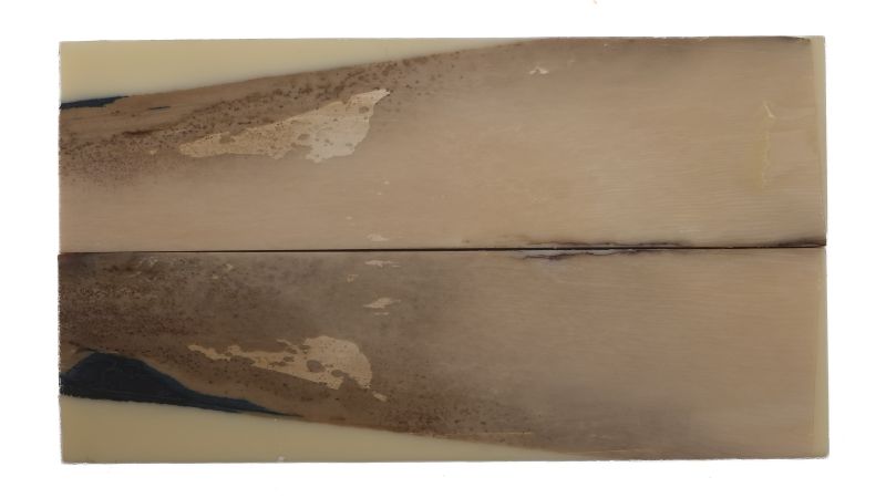 26080268
