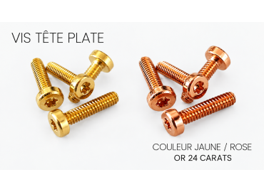 Flat Head Screws, Gold-plated 24K, M2 L 8mm (set of 10)