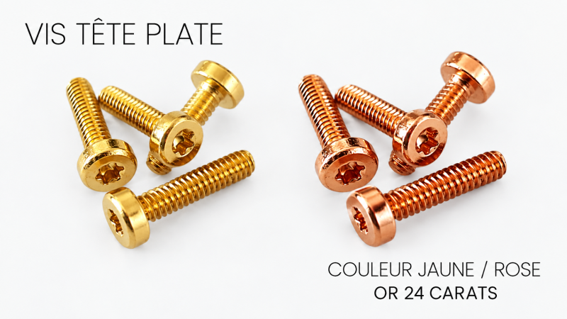Flat Head Screws, Gold-plated 24K, M2 L 8mm (set of 10)