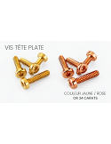 Vis tête plate Dorées or 24 carats  M2 L 8mm( par 10)