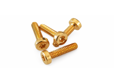 Flat Head Screws, Gold-plated 24K, M2 L 8mm (set of 10) 2