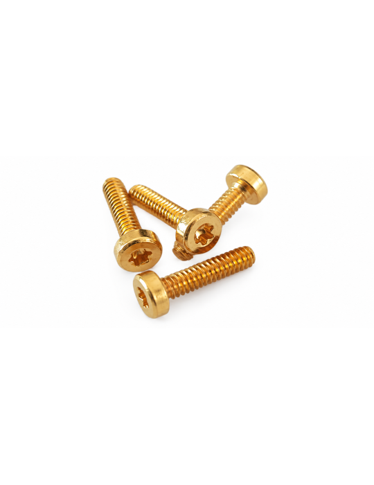 Flat Head Screws, Gold-plated 24K, M2 L 8mm (set of 10)