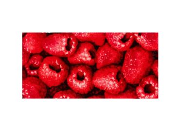 Einlegeplatte mit Fruchtmotiven für Messer | Mercorne 2