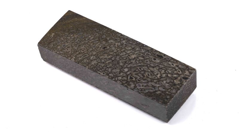 Bloc d'os de dinosaure CETIOSAURUS stabilisé by Raffir