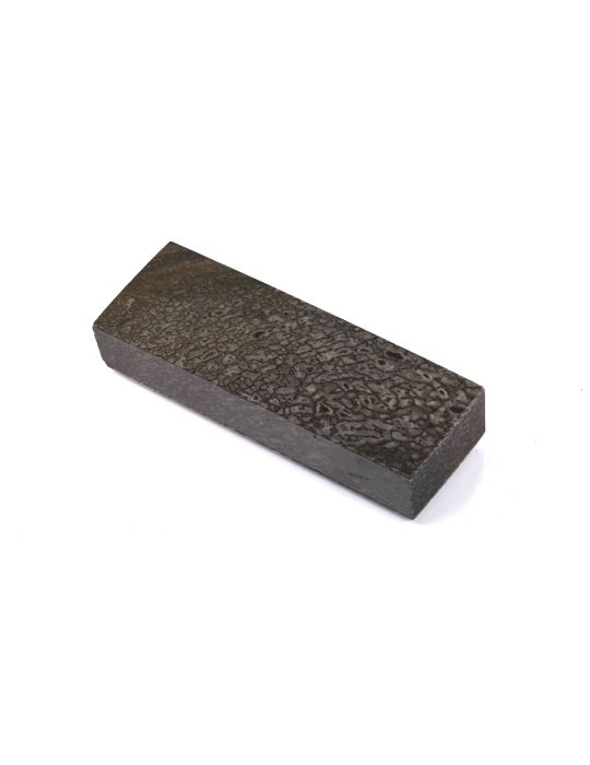 Bloc d'os de dinosaure CETIOSAURUS stabilisé by Raffir