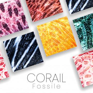 Corail fossile