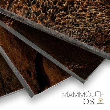Stabilized mammouth bone