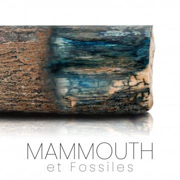 Mammoth and fossils
