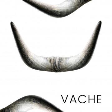 Cow horn - horn for making knives