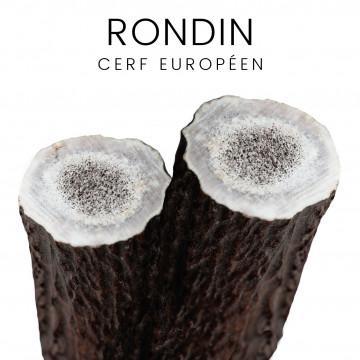 Ceppo di cervo europeo per coltelli