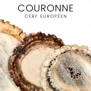 Corone di cervo europeo per coltelli