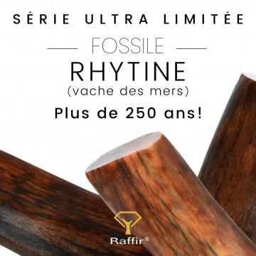 Rhytine : fossile marin