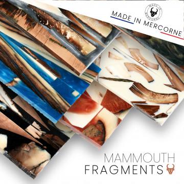 Fragment de défenses de mammouth stabilisé - France