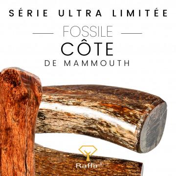 Côtes de mammouth stabilisé, âgées de 10 à 40 000 ans -Mercorne