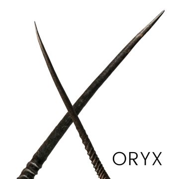 Oryx