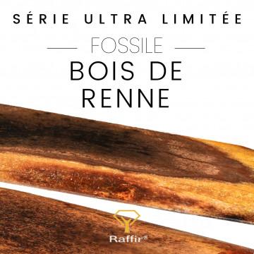 Fossili di Rennes (stabilizzati) oltre 12.000 anni fa!