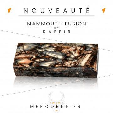 Mammouth fusion : la noblesse et la facilité de travail