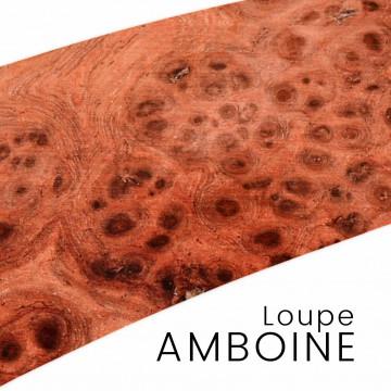 Amboina burl