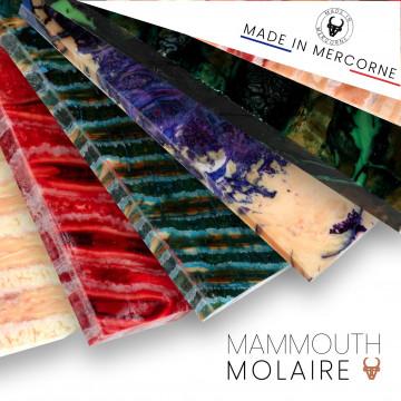 Molaire de mammouth - stabilisation française / Mercorne