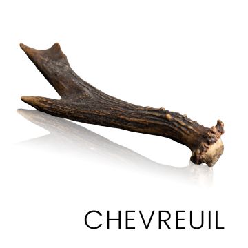 Schaf - Holz und Kronen zur Herstellung von Messern