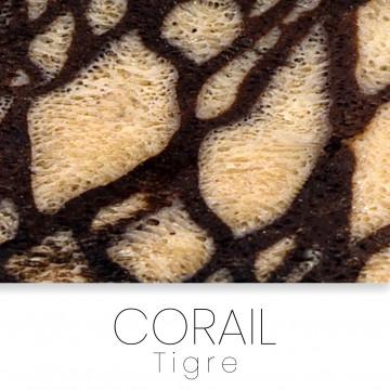 Corail tigre