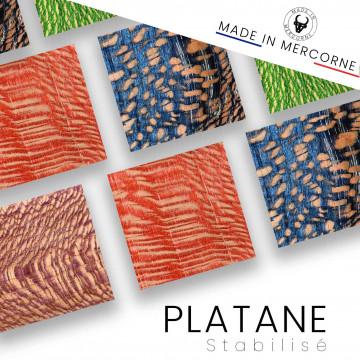 Platane stabilisé