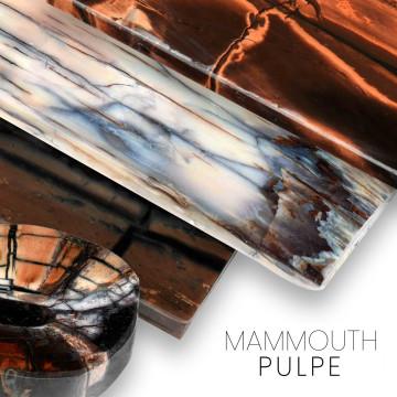 Pulpe de mammouth