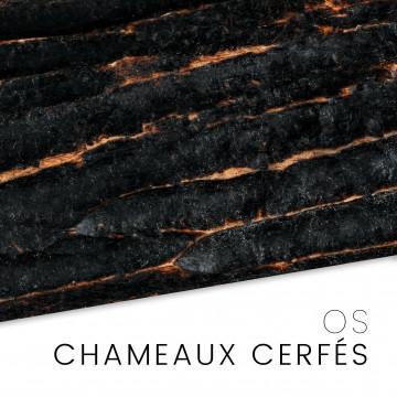 Os de chameaux cerfé