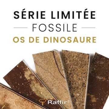 Os de dinosaure Raffir