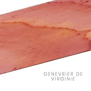 Genevrier de Virginie