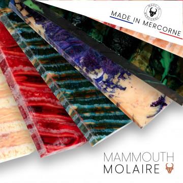 Molaire de mammouth