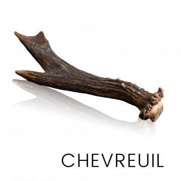 Chevreuil