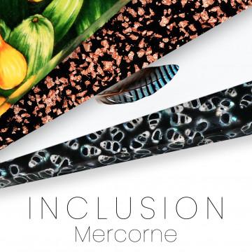 Inclusions par Mercorne
